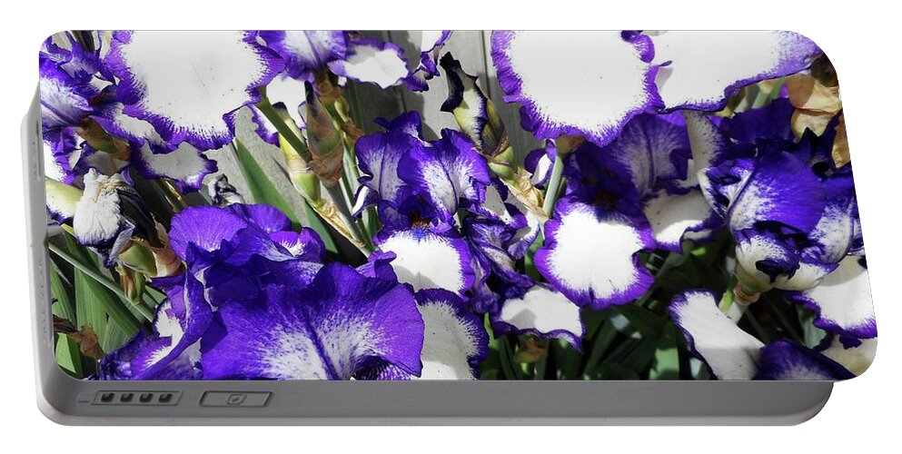Iris Portable Battery Charger featuring the photograph Irises 8 by Ron Kandt