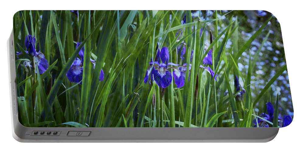 Iris Portable Battery Charger featuring the photograph Irises by Belinda Greb