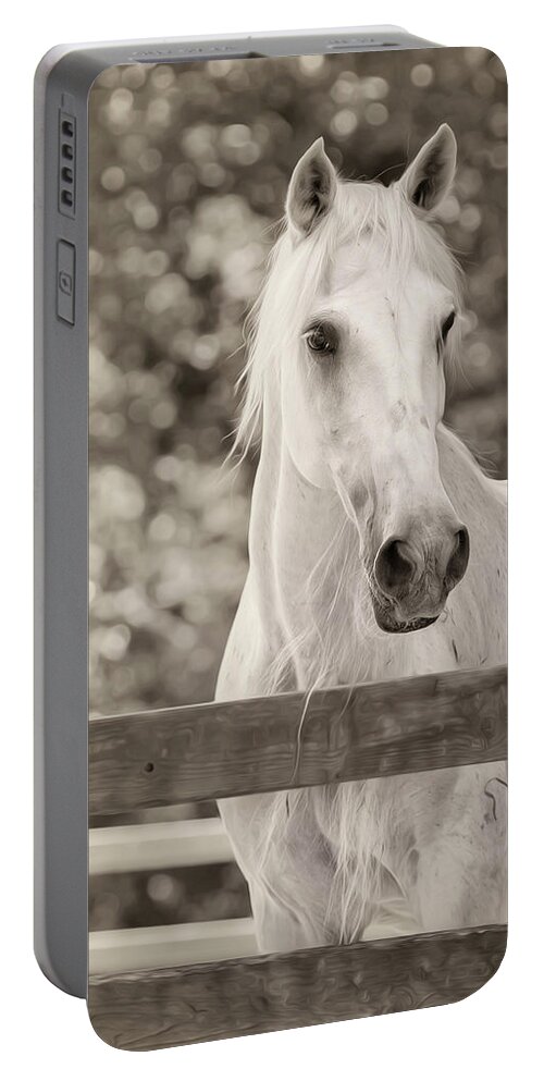 Horse Portable Battery Charger featuring the photograph Isabelle by Bill and Linda Tiepelman