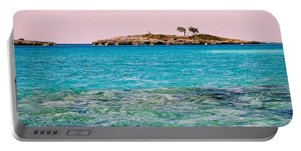 Island Portable Battery Charger featuring the photograph Island Tree Couple by Lainie Wrightson