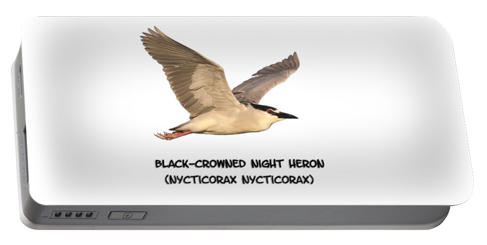Black-crowned Night Heron Portable Battery Charger featuring the photograph Isolated Black-crowned Night Heron 2017-6 by Thomas Young