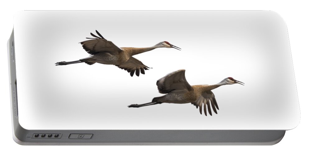 Sandhill Cranes Portable Battery Charger featuring the photograph Isolated Sandhill Cranes 2016-1 by Thomas Young