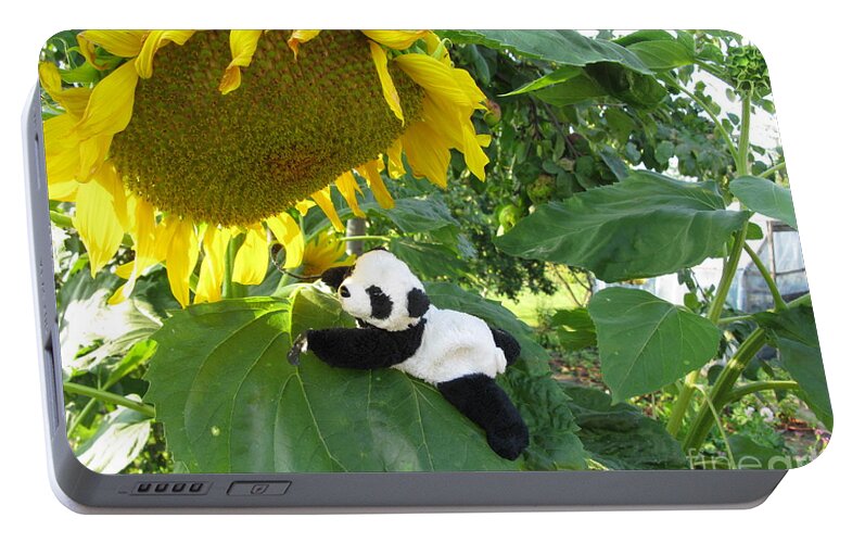 Baby Panda Portable Battery Charger featuring the photograph It's a BIG sunflower by Ausra Huntington nee Paulauskaite