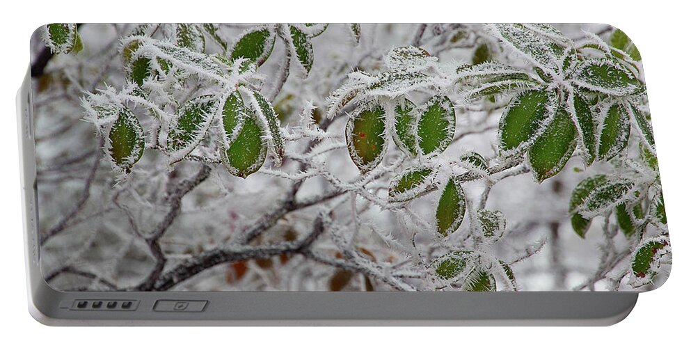 Frost Portable Battery Charger featuring the photograph It's Cold Outside by Mike Eingle