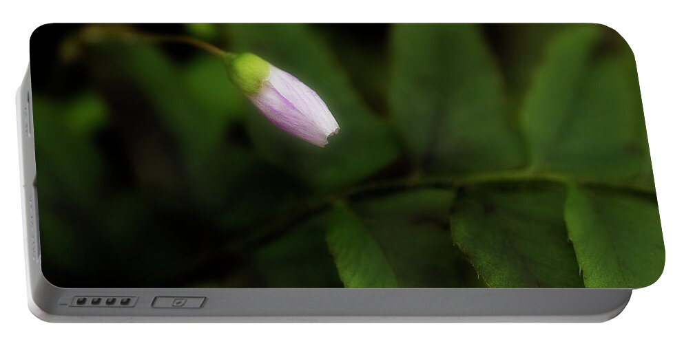 Flower Portable Battery Charger featuring the photograph It's Time by Mike Eingle
