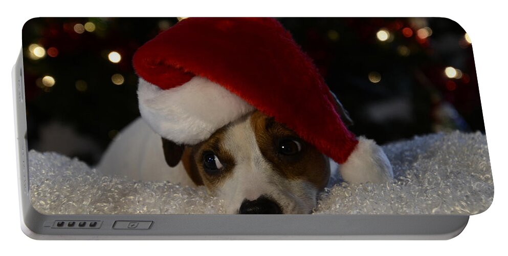 Jack Russel Christmas Portable Battery Charger featuring the photograph Jack Russel Christmas by Ann Bridges