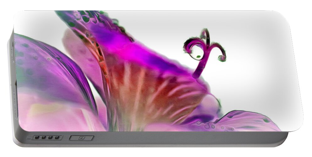 Amaryllis Portable Battery Charger featuring the digital art January Dreaming by Krissy Katsimbras