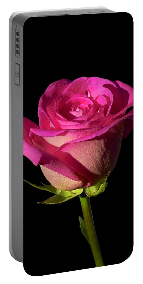 Rose Portable Battery Charger featuring the photograph January Rose by Gary Dean Mercer Clark