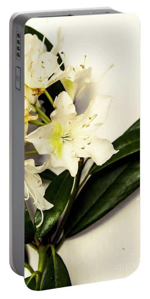 Japanese Portable Battery Charger featuring the photograph Japanese flower art by Jorgo Photography