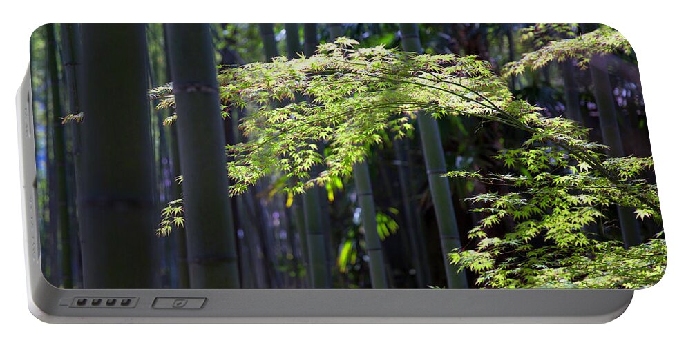 Japanese Portable Battery Charger featuring the photograph Japanese Maple in the Arashiyama Bamboo Grove by Karen Jorstad