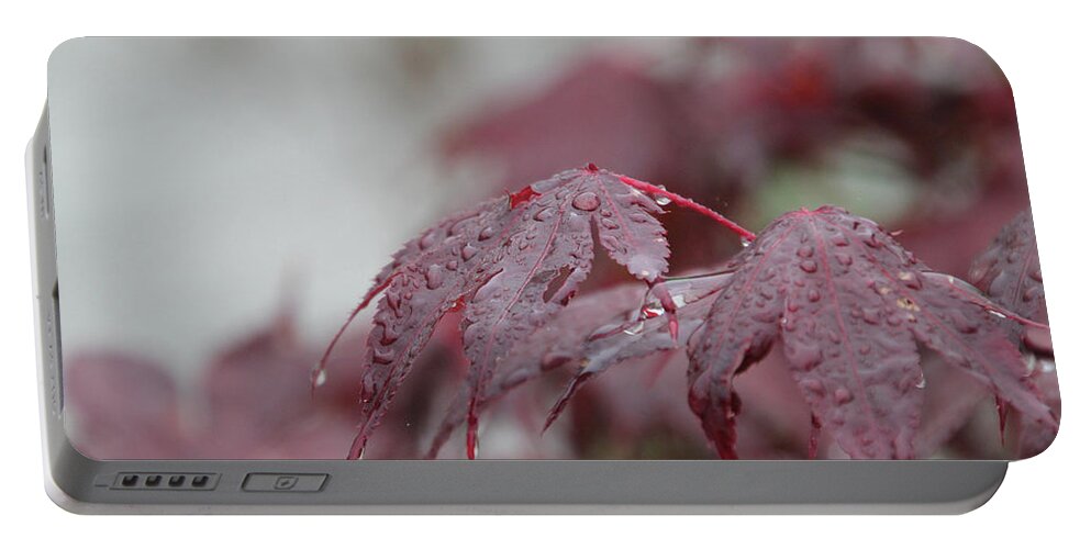 Japanese Maple Portable Battery Charger featuring the photograph Japanese Maple Water Drops 8719 by Ericamaxine Price