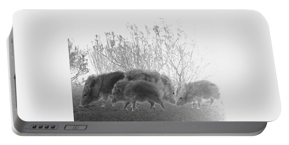 Animals Portable Battery Charger featuring the photograph Javelinas in the Desert by Judy Kennedy