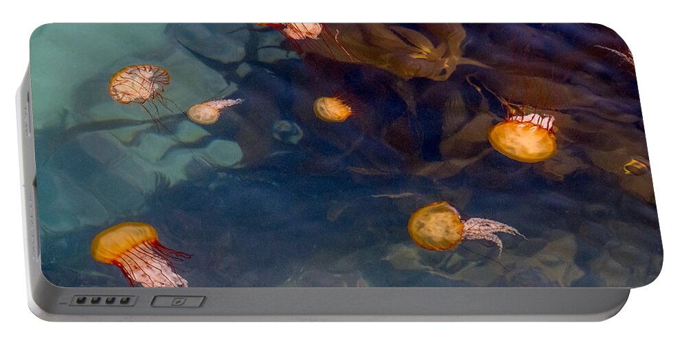 Jellies Portable Battery Charger featuring the photograph Jellies at the Jetty by Derek Dean