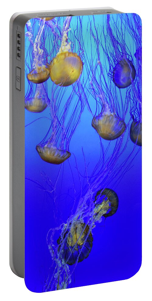 Jellies Portable Battery Charger featuring the photograph Jellies No. 408-1 by Sandy Taylor