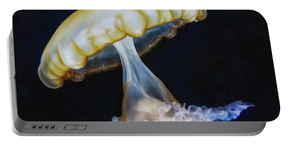 Sea Life Portable Battery Charger featuring the photograph Jellyfish No. 1 by Alan Toepfer