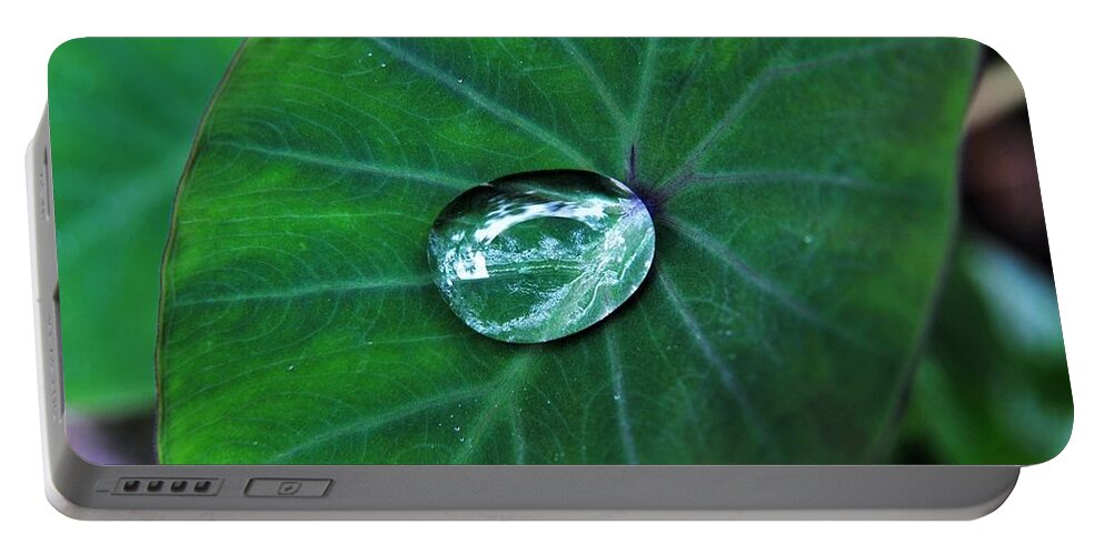 Rain Drop Portable Battery Charger featuring the photograph Jewel on Kalo Leaf from the Rain by Heidi Fickinger