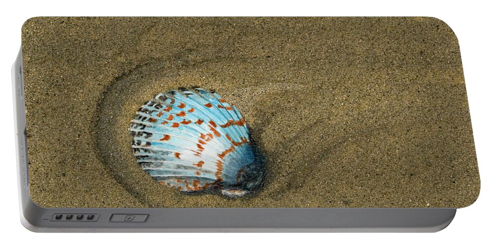 Acrylic Portable Battery Charger featuring the painting Jewel on the Beach by Mike Robles