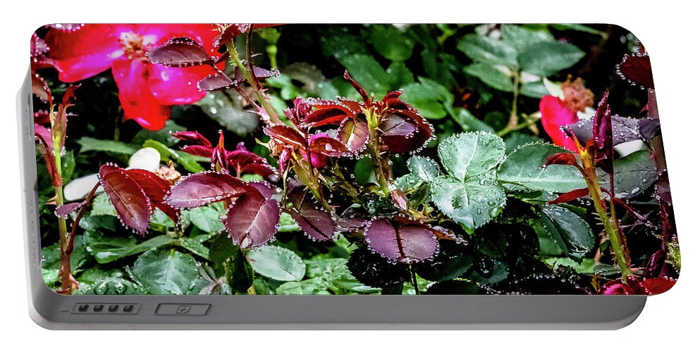 Raindrops Portable Battery Charger featuring the digital art Jewels of the Rain by Ed Stines