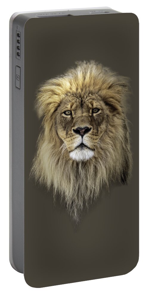 Lion Portable Battery Charger featuring the photograph Joshua t-shirt color by Everet Regal