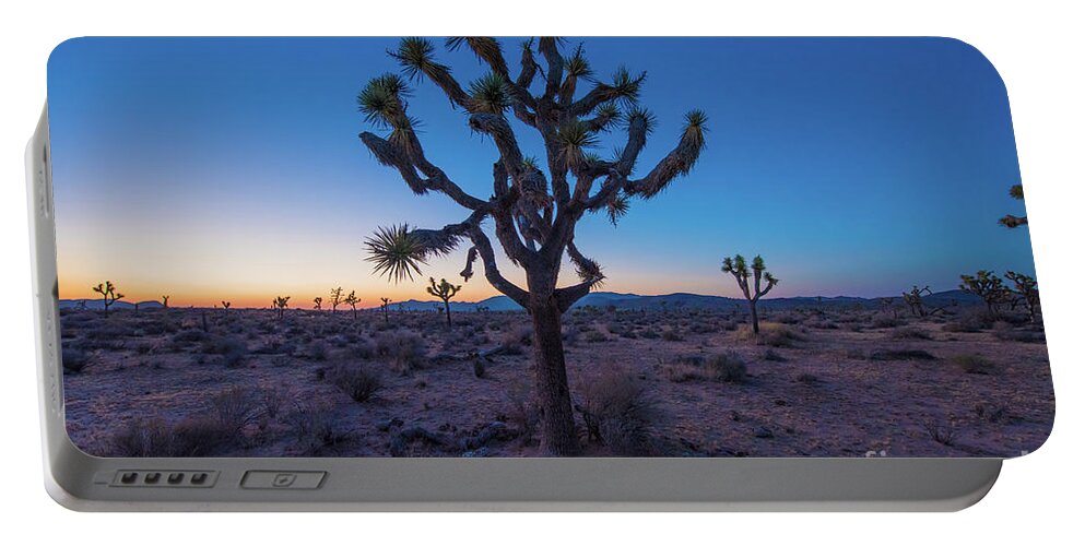 Joshua Tree Portable Battery Charger featuring the photograph Joshua Tree Glow by Robert Loe
