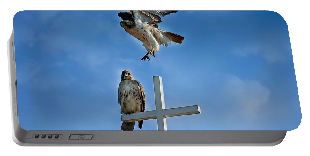 Hawk Portable Battery Charger featuring the photograph Jump by Jackson Pearson