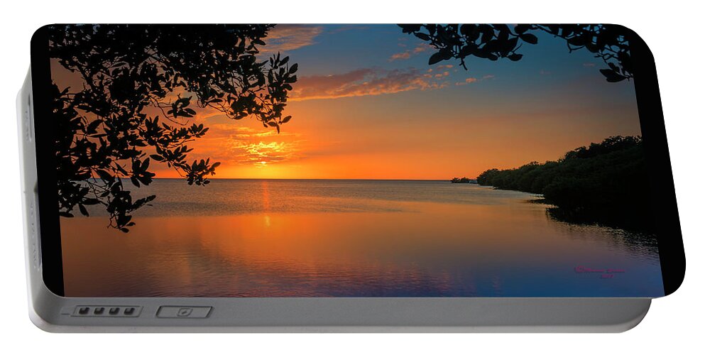 Florida Portable Battery Charger featuring the photograph Just Beyond The Window by Marvin Spates