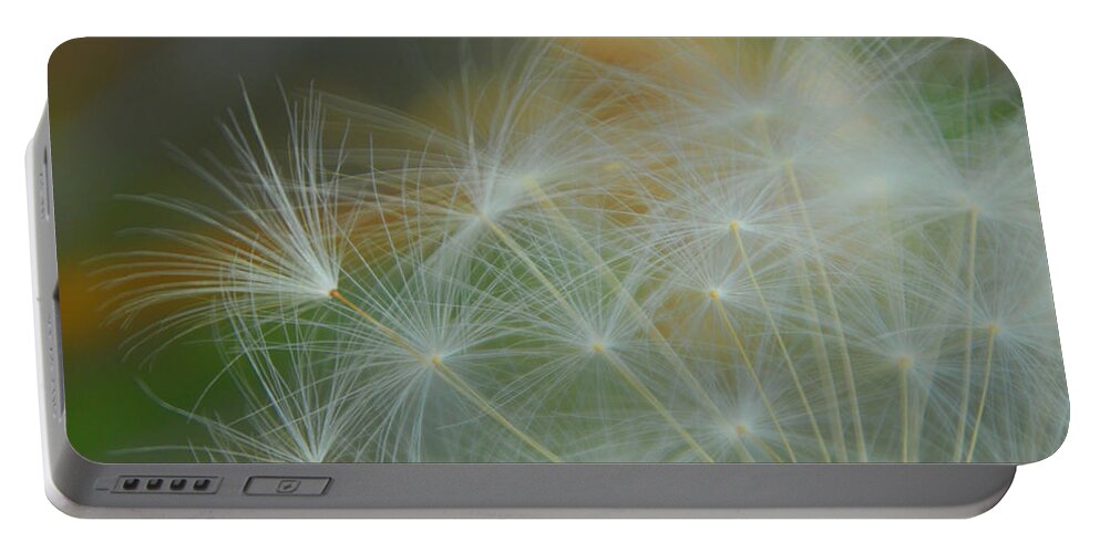 Dandelion Portable Battery Charger featuring the photograph Just Dandy by Donna Blackhall