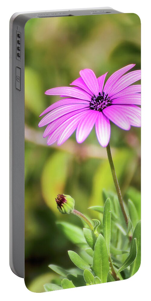 Flower Photography Portable Battery Charger featuring the photograph Just nature 0666 by Kevin Chippindall