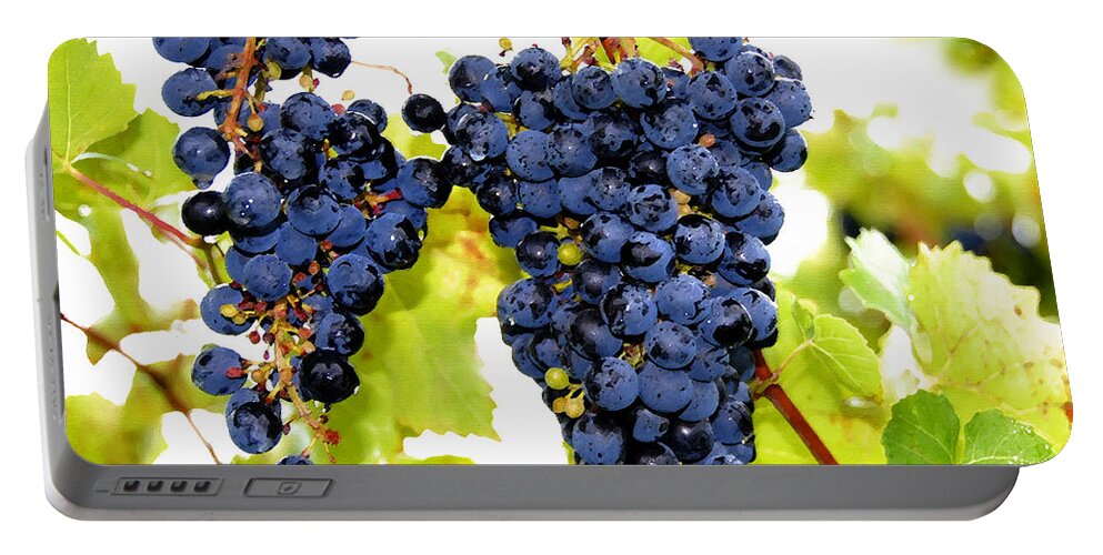 Grapes Portable Battery Charger featuring the painting Just Ripe by David Lee Thompson