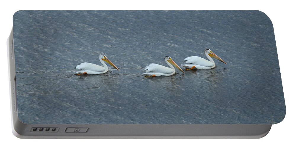Animal Portable Battery Charger featuring the photograph Triple Pelicans Lake John SWA CO by Margarethe Binkley