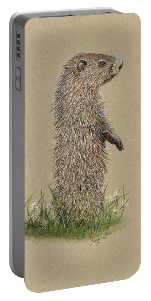 Woodchuck Portable Battery Charger featuring the drawing Juveniile Woodchuck by Twyla Francois