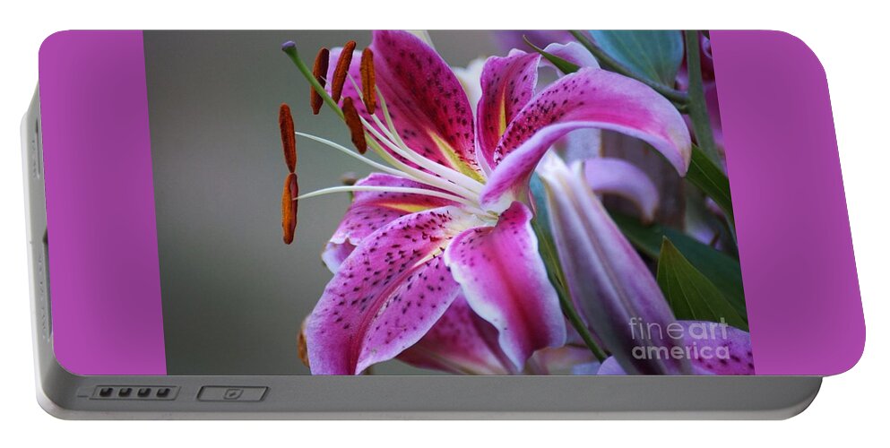 Lilly Portable Battery Charger featuring the photograph K and D Lilly 6 by Merle Grenz