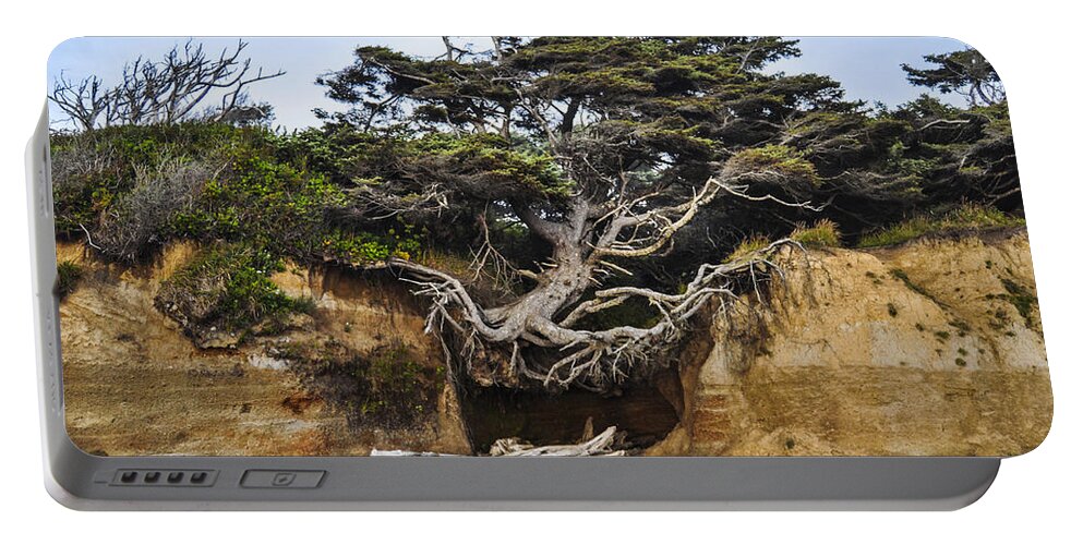Lone Portable Battery Charger featuring the photograph Kalaloch Hanging Tree by Pelo Blanco Photo