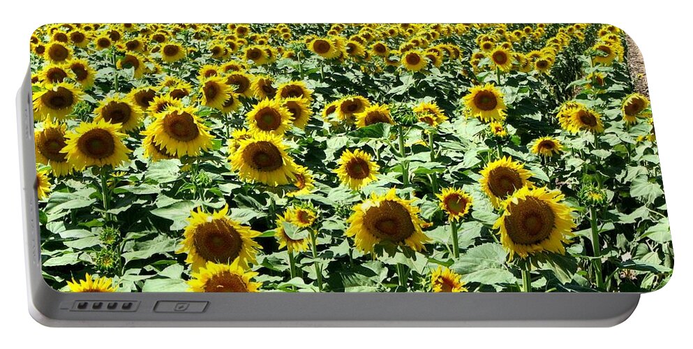 Sunflowers Portable Battery Charger featuring the photograph Kansas Sunflower Field by Keith Stokes