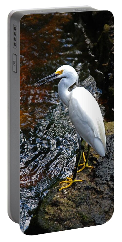 Snowy Egret Portable Battery Charger featuring the photograph Katie's Buddy II by Michiale Schneider