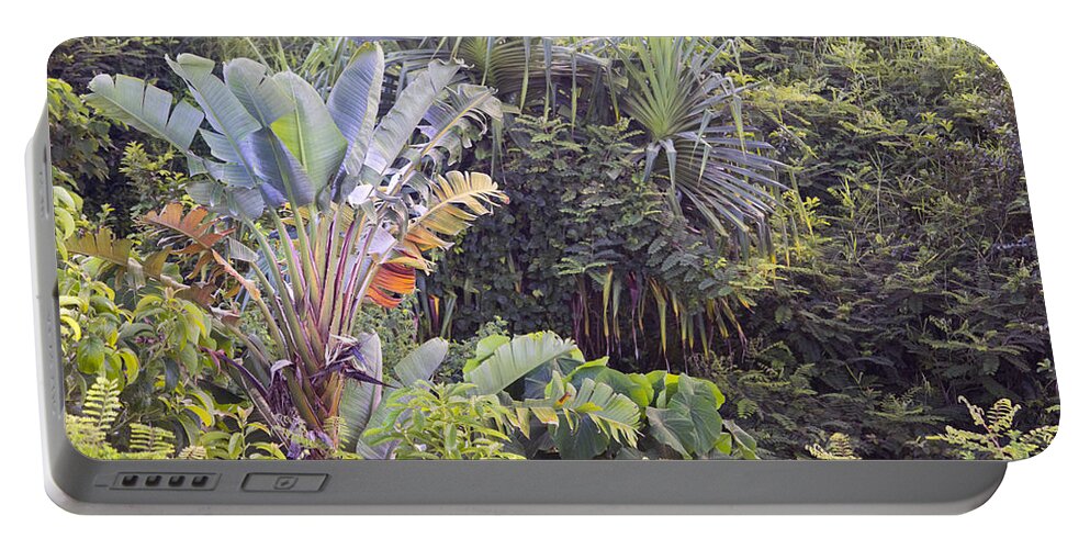 Nature Portable Battery Charger featuring the photograph Kauai Jungle by Frank Wilson