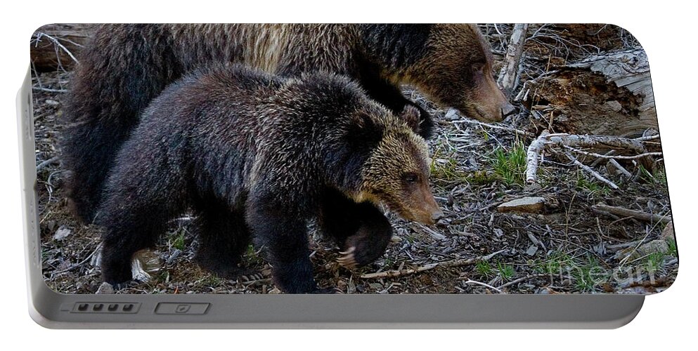 Bear Portable Battery Charger featuring the photograph Keeping Up With Mom-Signed by J L Woody Wooden