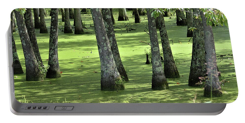 Hollow Portable Battery Charger featuring the photograph Kentucky Swamp by Kathy Kelly
