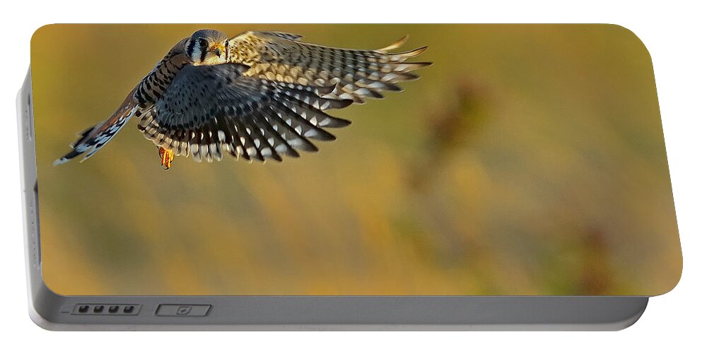 Kestrel Portable Battery Charger featuring the photograph Kestrel Takes Flight by William Jobes