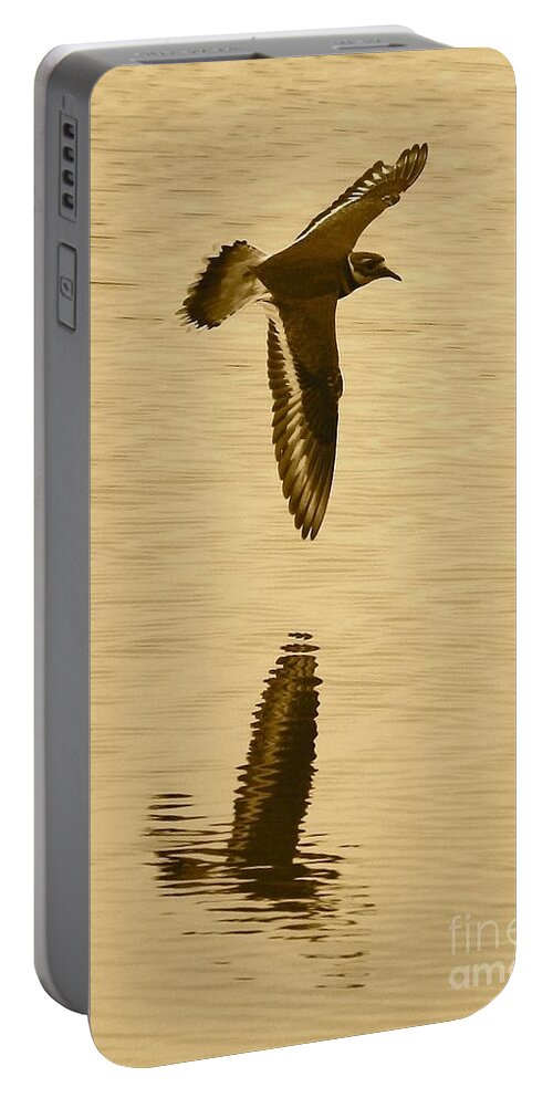 Killdeer Portable Battery Charger featuring the photograph Killdeer over the Pond by Carol Groenen