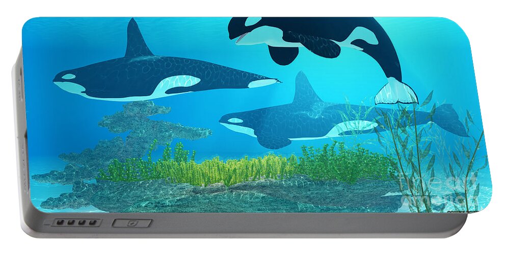 Killer Whale Portable Battery Charger featuring the painting Killer Whale Reef by Corey Ford