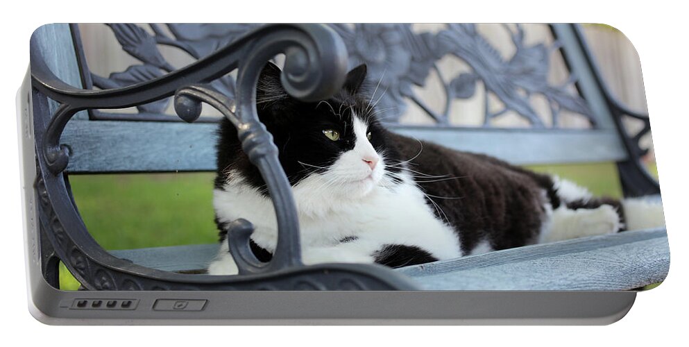 Cat Portable Battery Charger featuring the photograph King of The Bench by K R Burks