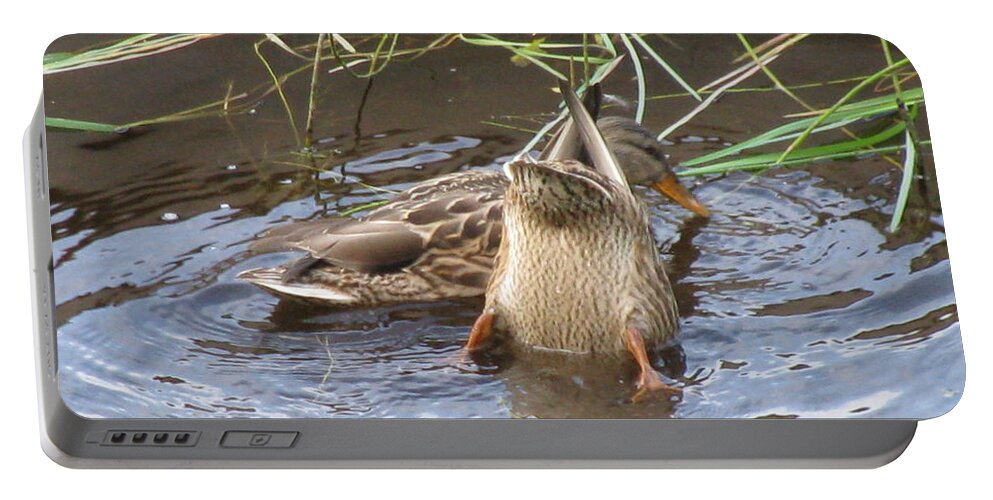 Duck Portable Battery Charger featuring the photograph Kiss my Duck by Anthony Trillo