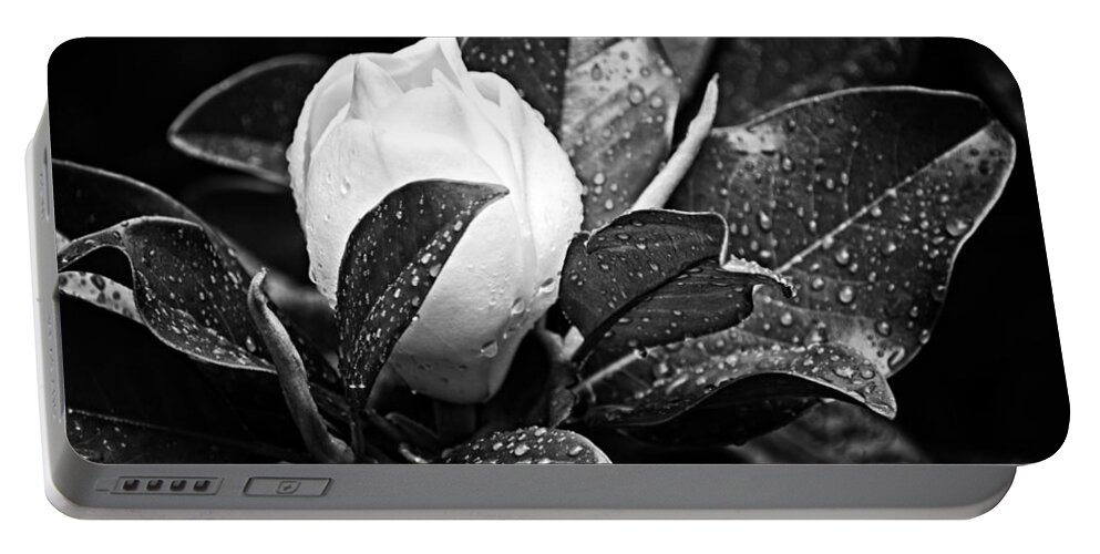 Magnolia Portable Battery Charger featuring the photograph Kissed By Rain by Carolyn Marshall