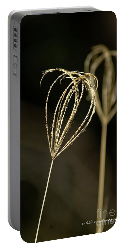 Sweet Portable Battery Charger featuring the photograph Kissing Grass by Vicki Ferrari