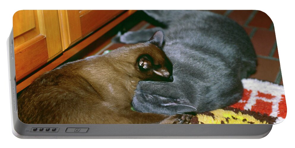 2 Cats Snuggling Portable Battery Charger featuring the photograph Kitties Snuggling by Sally Weigand