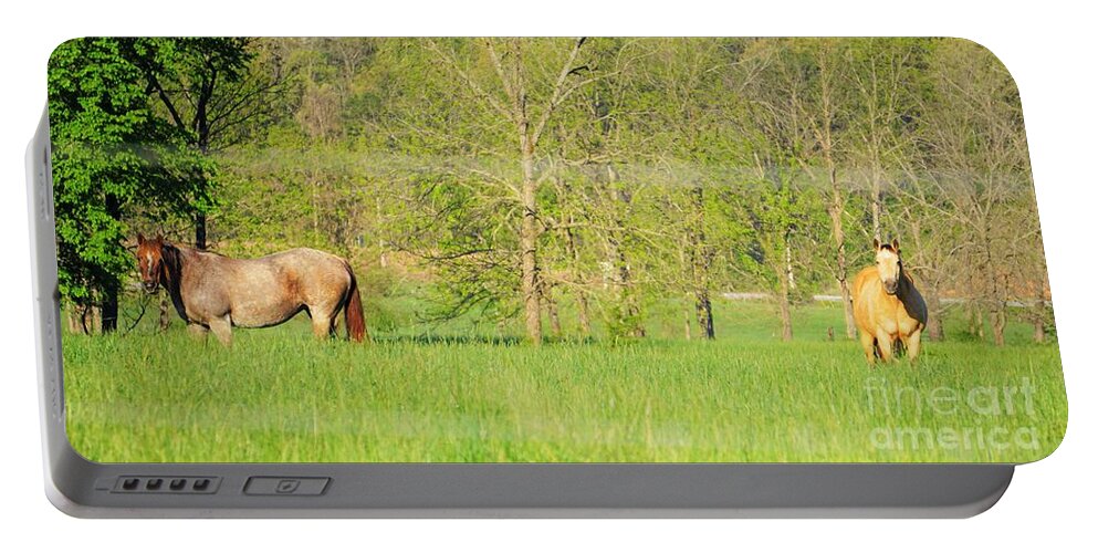 Horses Portable Battery Charger featuring the photograph Knee deep in grass by Merle Grenz