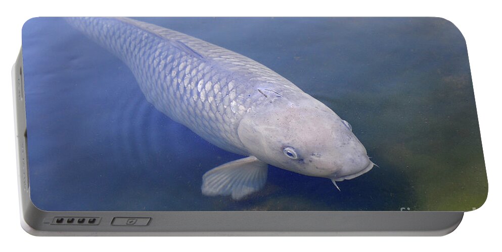  Portable Battery Charger featuring the photograph Koi 2 by Erica Freeman