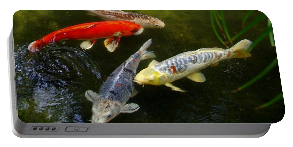 Koi Portable Battery Charger featuring the photograph Koi at Catamaran Hotel 1 by Phyllis Spoor