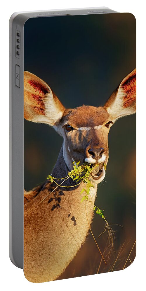 Kudu Portable Battery Charger featuring the photograph Kudu portrait eating green leaves by Johan Swanepoel